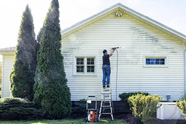 Best Patio and Deck Pressure Washing  in Stevenson, AL
